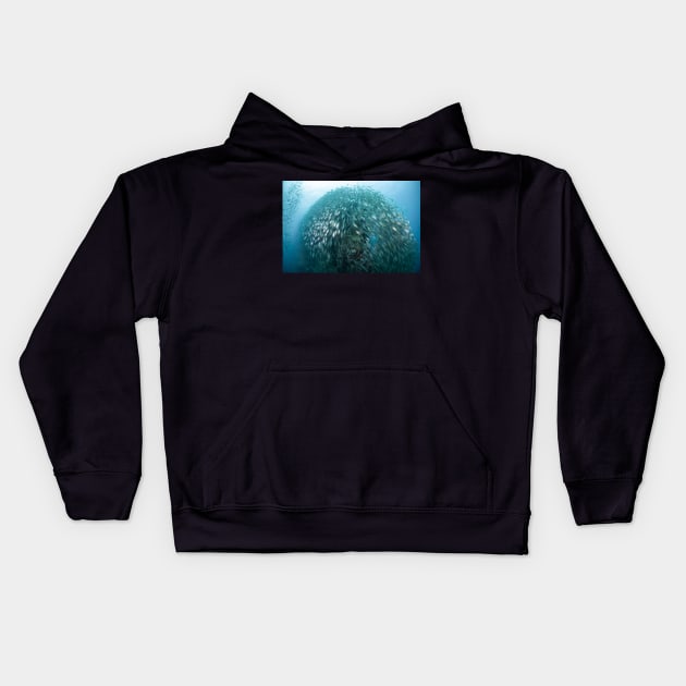 School of Snappers at Sail Rock Kids Hoodie by SCUBAddict